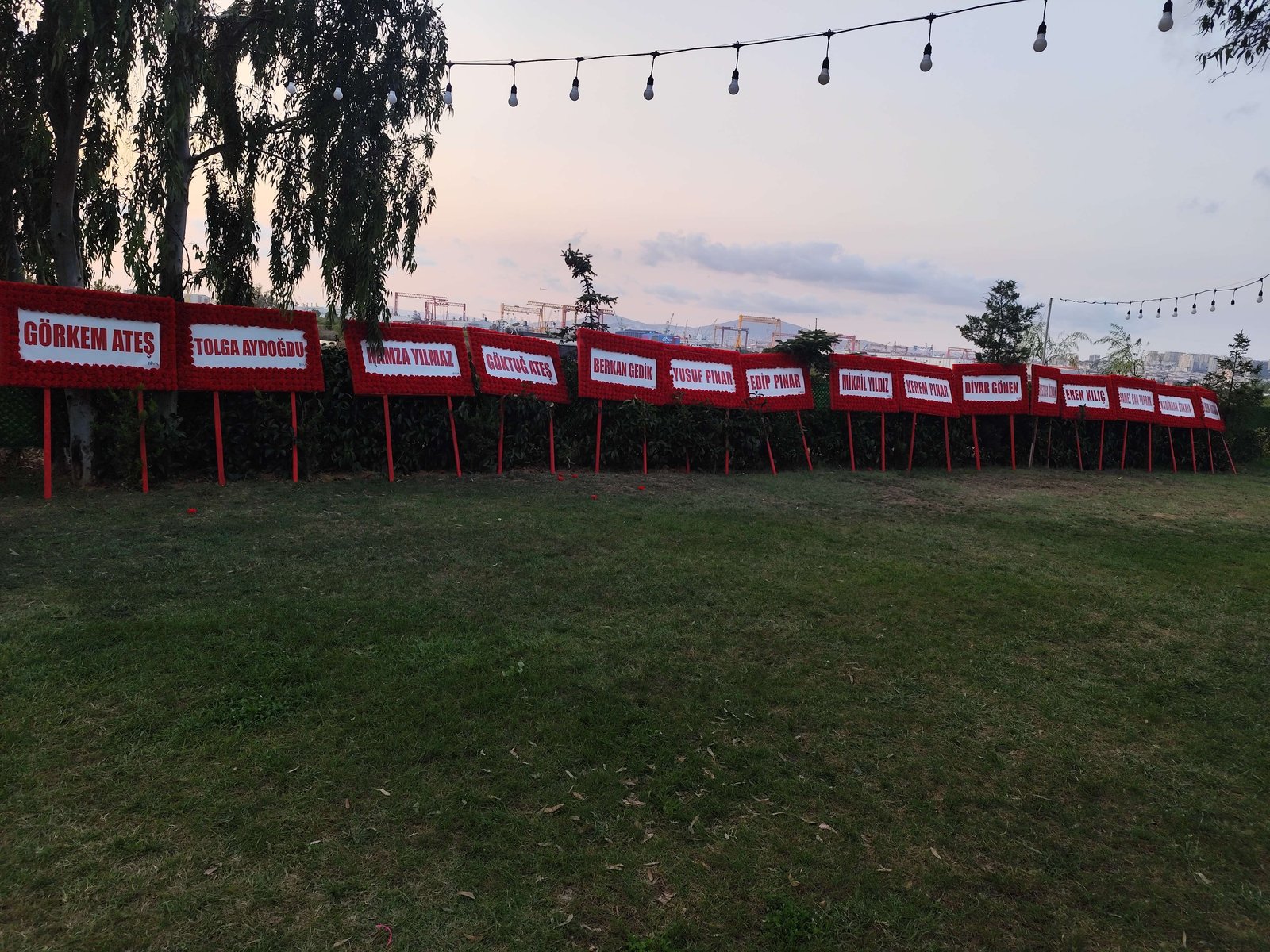 Festival Alanı - ProÇelenk teslimat